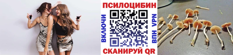 Псилоцибиновые грибы ЛСД Мостовской